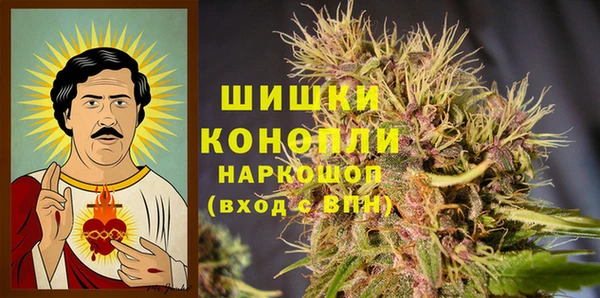 PSILOCYBIN Балабаново