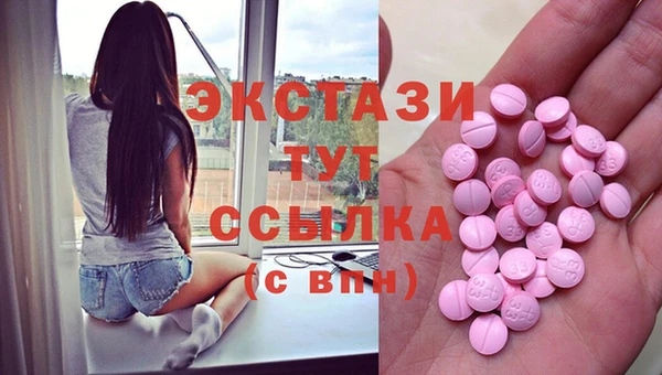 дмт Протвино