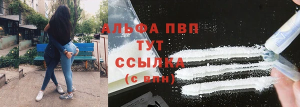 PSILOCYBIN Балабаново