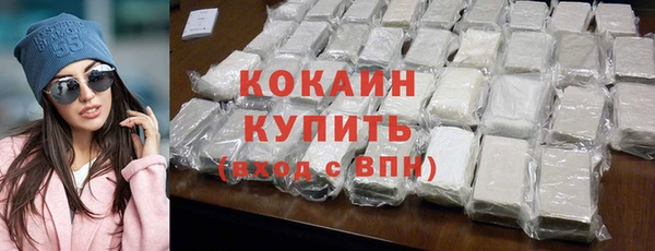 дмт Протвино