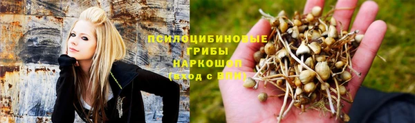 меф Приозерск