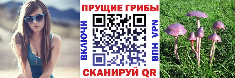 Псилоцибиновые грибы ЛСД  Сосновоборск 